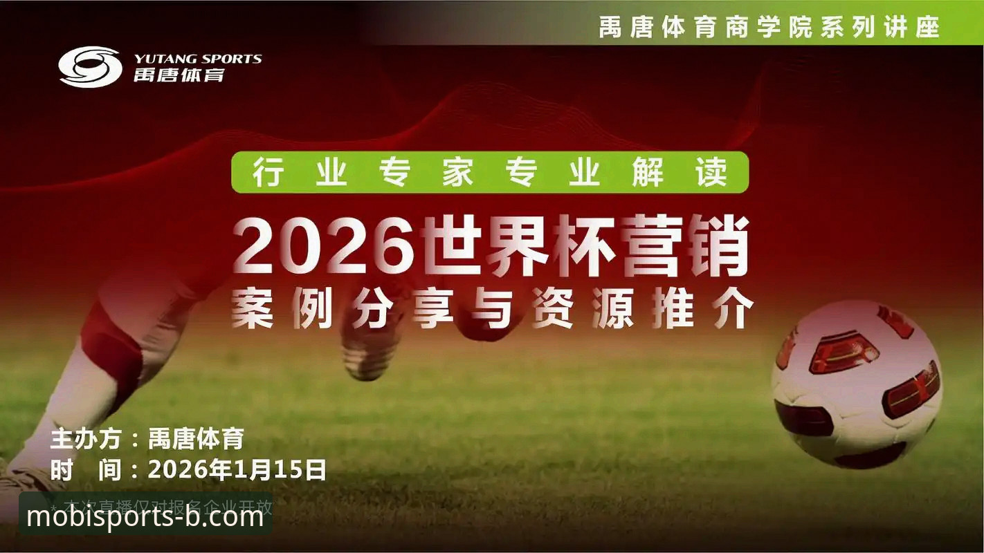 2026新版B体育无需下载必备：手机网页版入口详解